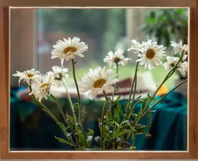 Museo Alfredo Ramírez de Arellano