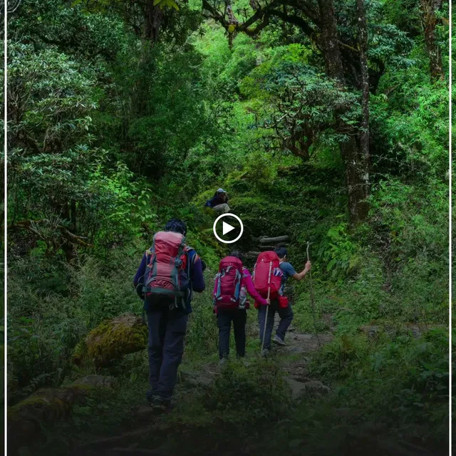 Silver Oak restaurant