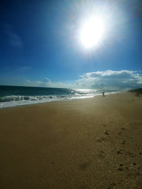 Archie Carr National Wildlife Refuge