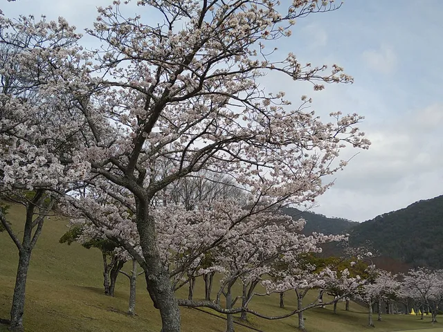 Hiroshimashi Kabe Sports Park