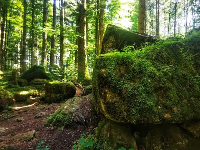 Freizeitpark Märchenwald im Isartal