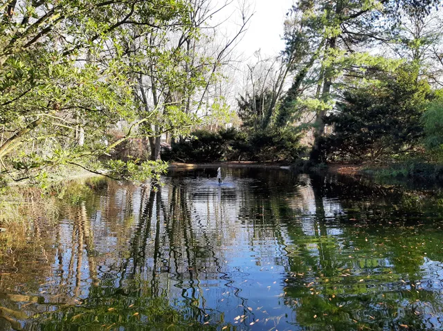 Heinrich-Kleber-Park