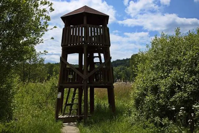 photo-1