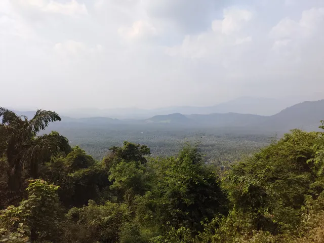 New Amarambalam Wildlife Sanctuary