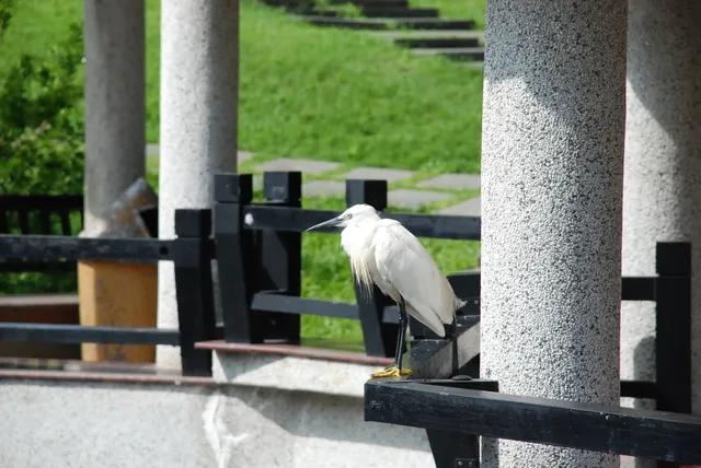 Taichung City Seaport Art Center