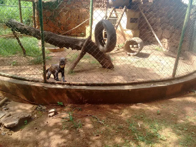 Parque do Jacarandá