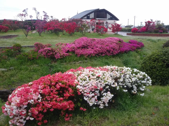 Kurumefureai Agriculture Park