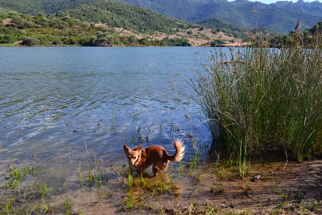 Nughedu Santa Itòria/Nughedu Santa Vittoria