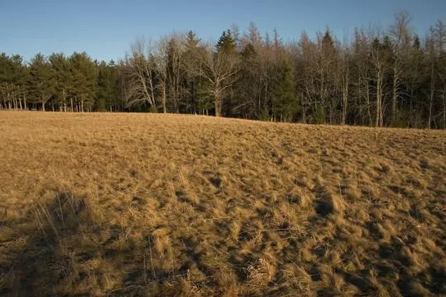 Heiden und Magerrasen bei Trupbach