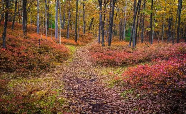Huron County Nature Center