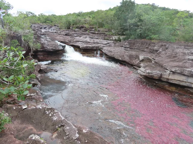 La Macarena Botanical Garden