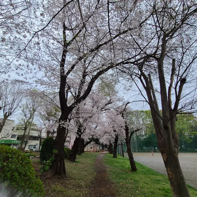 Higashi-Omiya Central Park