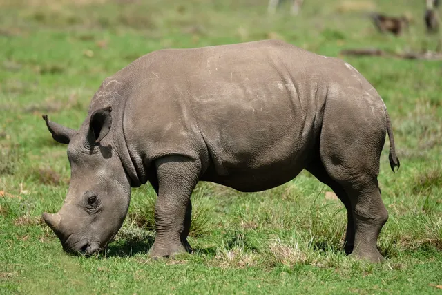 Odyssey - Destination. Anywhere