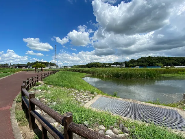 Hyotanjima Pond