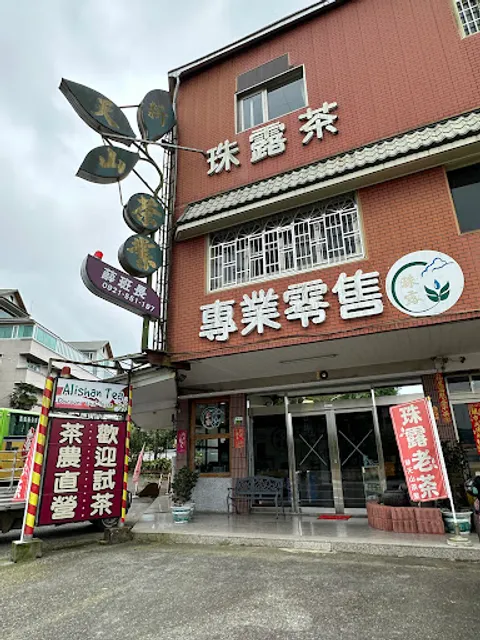 Alishan tea tasting