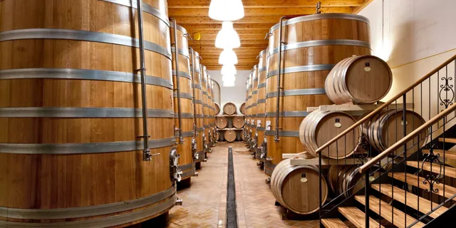 Azienda Agricola Monte Zovo