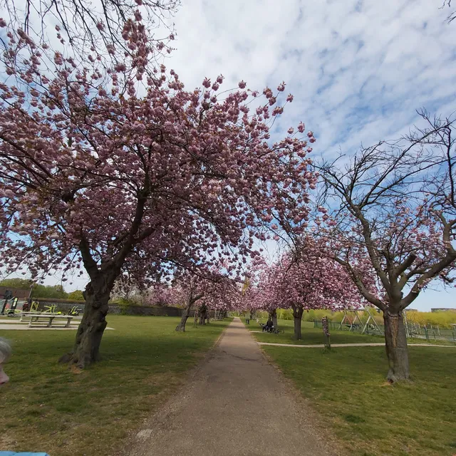 Sutcliffe Park Children's Playground