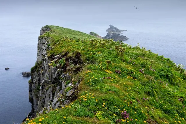 Alaska Maritime National Wildlife Refuge