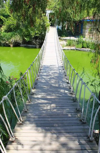 Oleatrium Zeytin ve Zeytinyağı Tarihi Müzesi