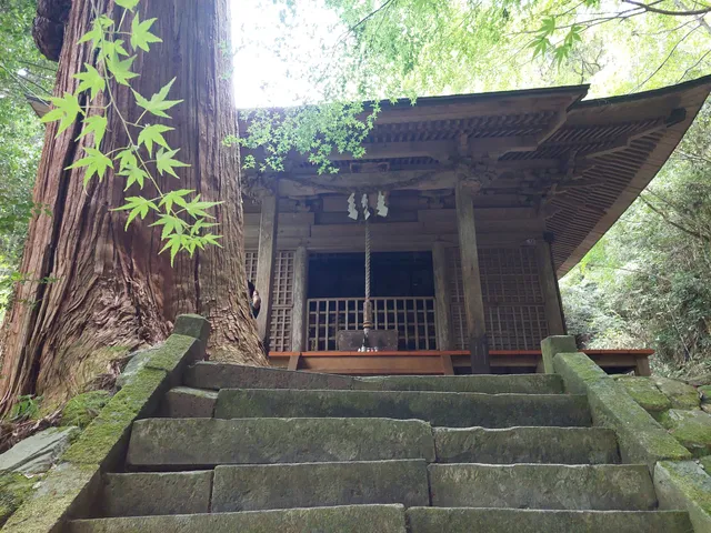 photo-3