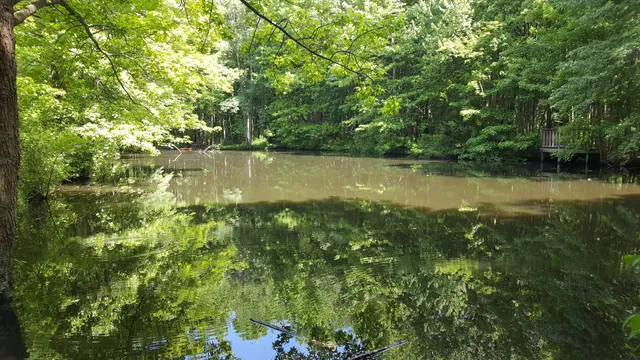 Fair Haven Fields Natural Area