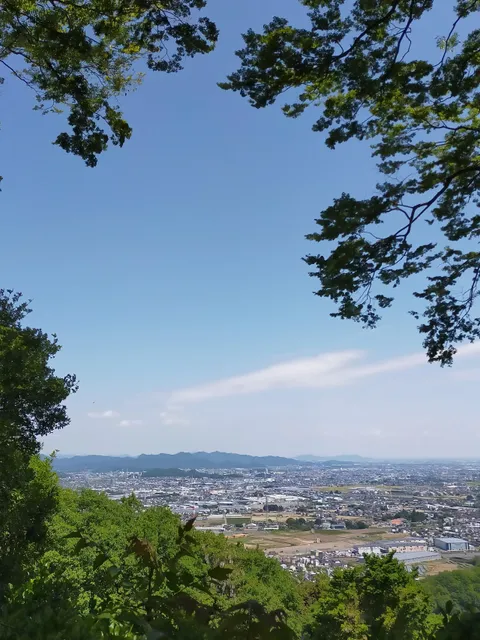 photo-1