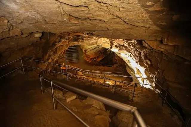Idaho's Mammoth Cave & Shoshone Bird Museum Of Natural History