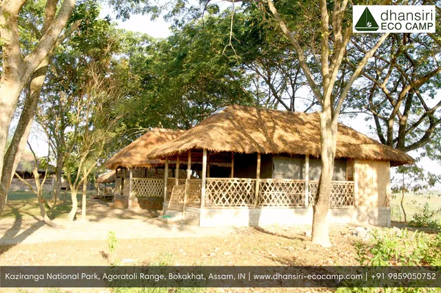 Dhansiri Eco Camp