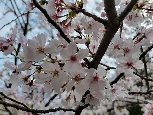 photo-2