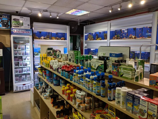 Emsworth Reptiles U.K.