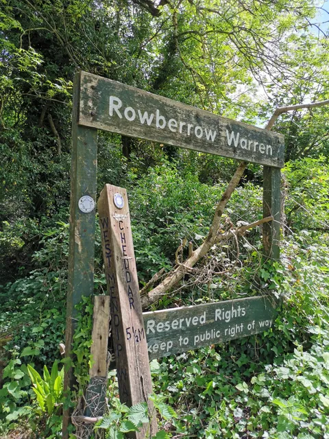 Rowberrow Warren