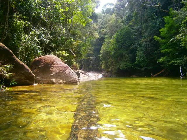 Sungai Bangan