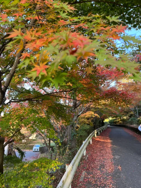 Aritayaki Reference Museum
