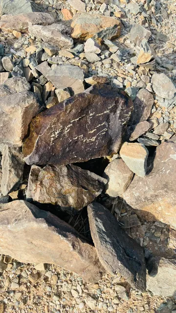 رفاهية المستقبل لتنظيم الرحلات