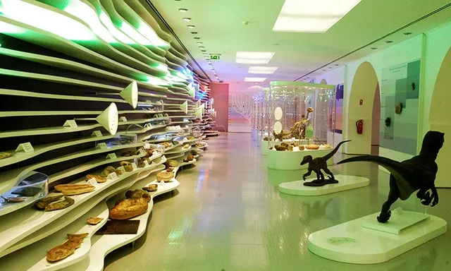 Museu de História Natural de Sintra