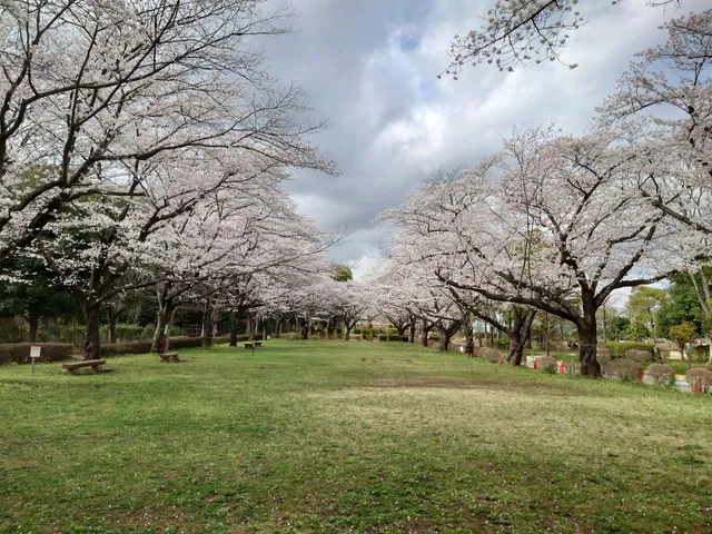 Shiroyama Park
