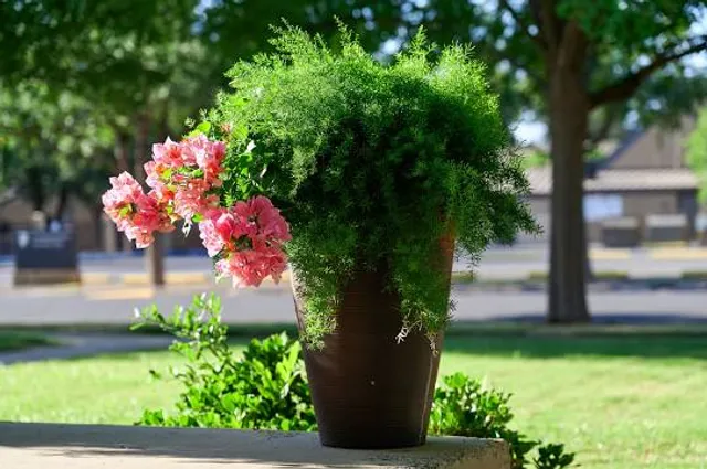 Bush Family Home State Historic Site