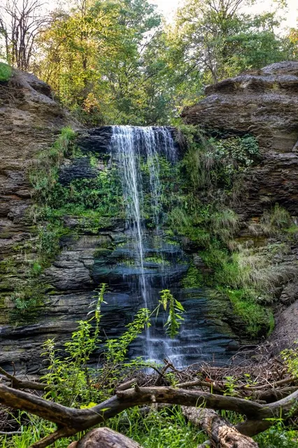 Black River Reservation Bur Oak