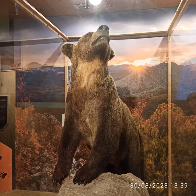 Casa del parque de Cervera de Pisuerga