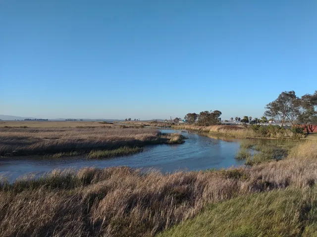 Bay Point Regional Shoreline