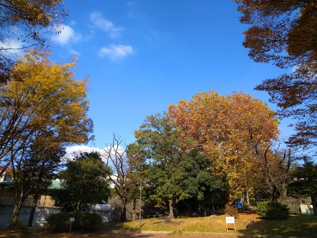Tsuchihashi 7-chome Park