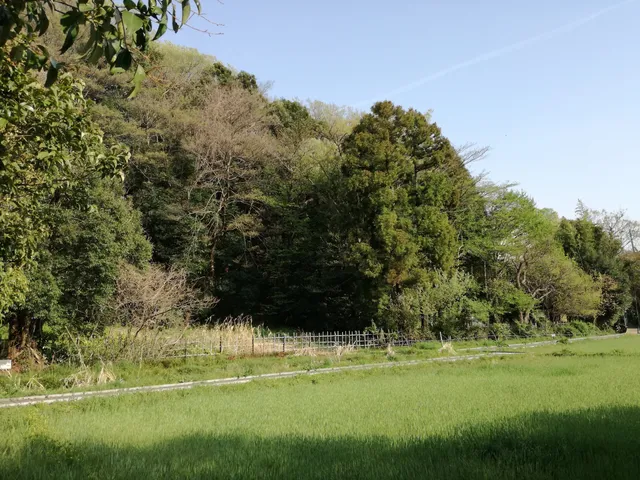 The Village of Osawa