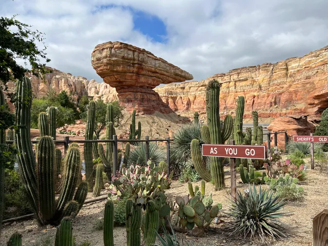 Radiator Springs Racers