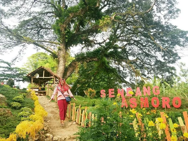 Sendang Asmoro Park