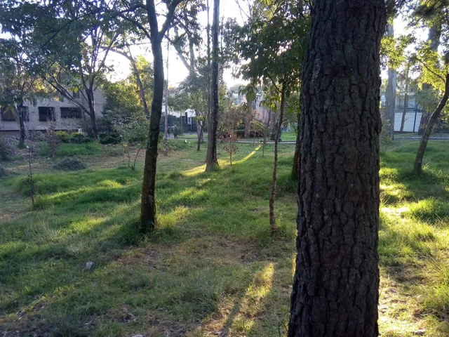 San Francisco de Asis Park