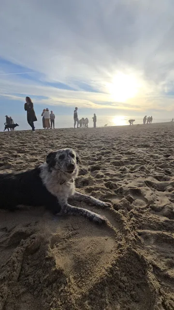 Lighthouse Neighborhood Park