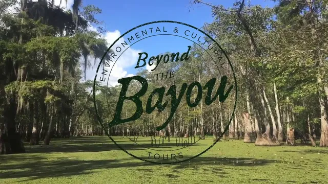 Beyond the Bayou Tours