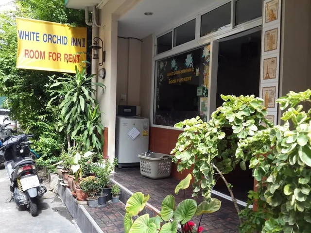 White orchid inn