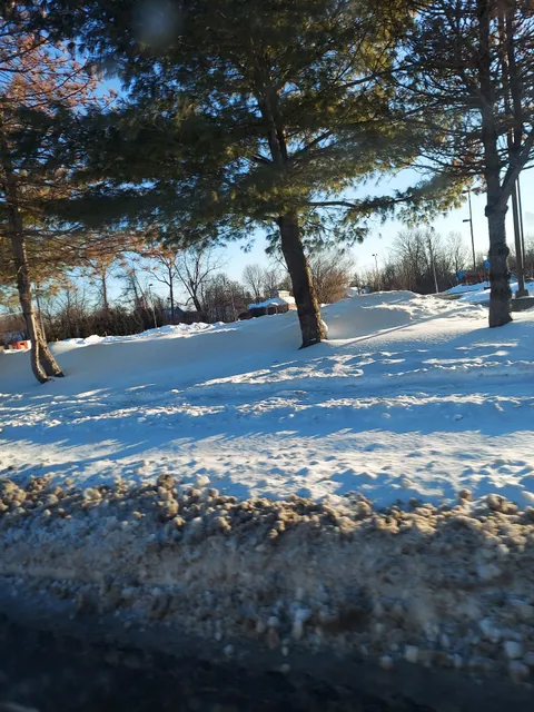 Albany Jewish Community Center