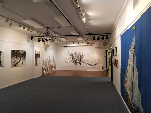 Puffin Cultural Forum